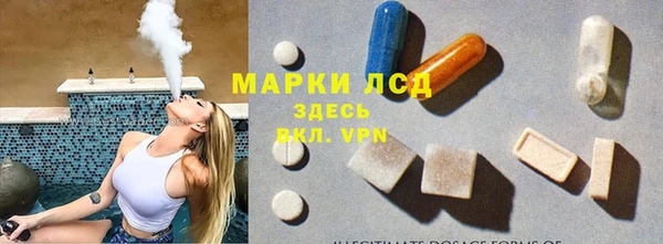 СК Зеленодольск